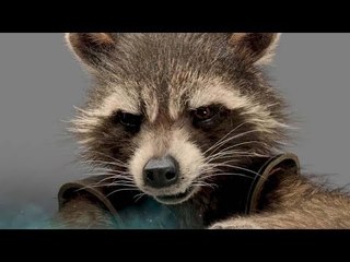 Le Personnage de ROCKET - LES GARDIENS DE LA GALAXIE