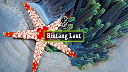 7 Hewan Yang Senang Jika Terjadi Global Warning di Dunia