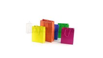 Retail Store Boutique, Shopping and Plastic Bags Suppliers