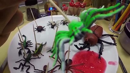 Kluna Tik Scary Feisty Pets Eating Insects Dinner ASMR No Talk - 2 - Kluk