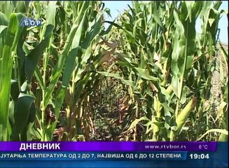 Dnevnik, 10. mart 2017. (RTV Bor)