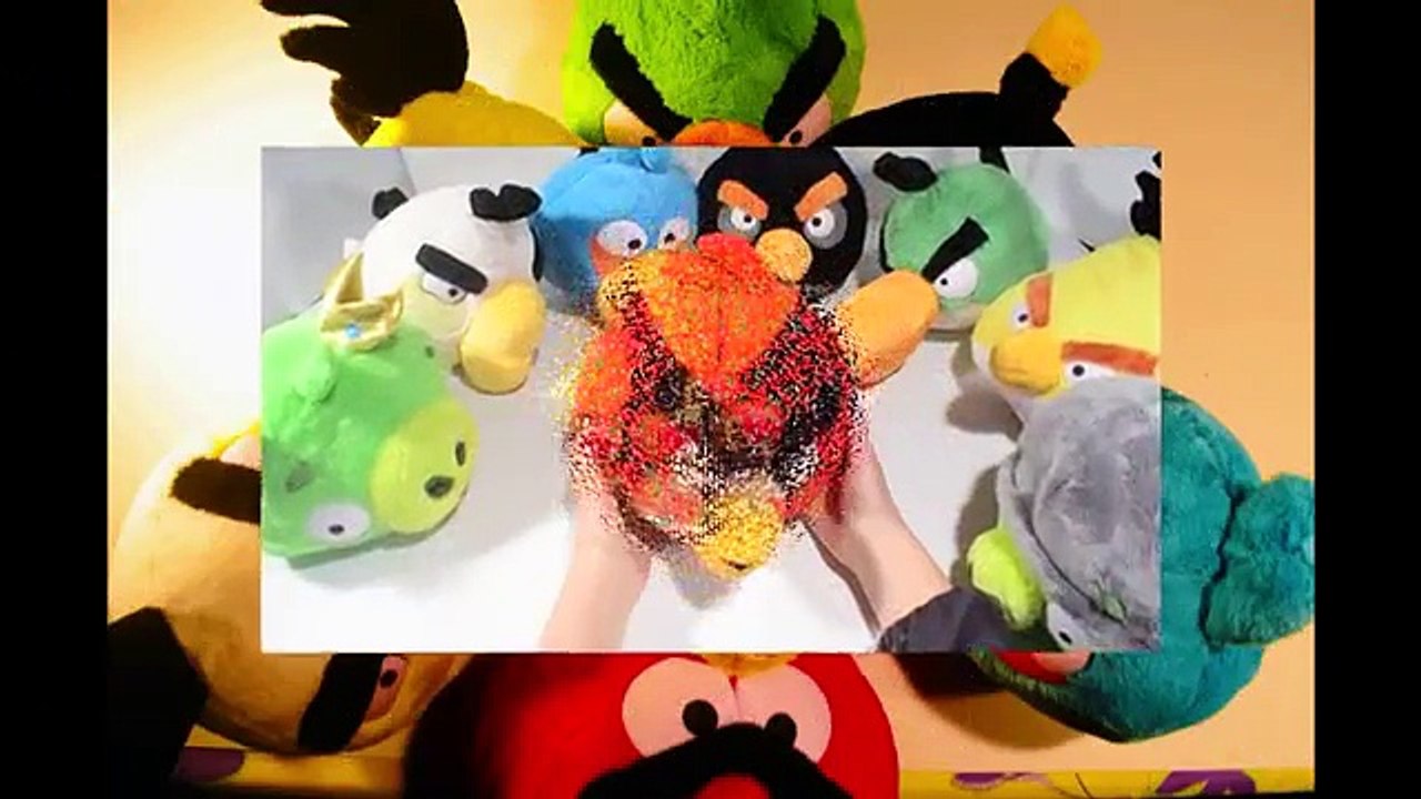 Angry Birds Toons new