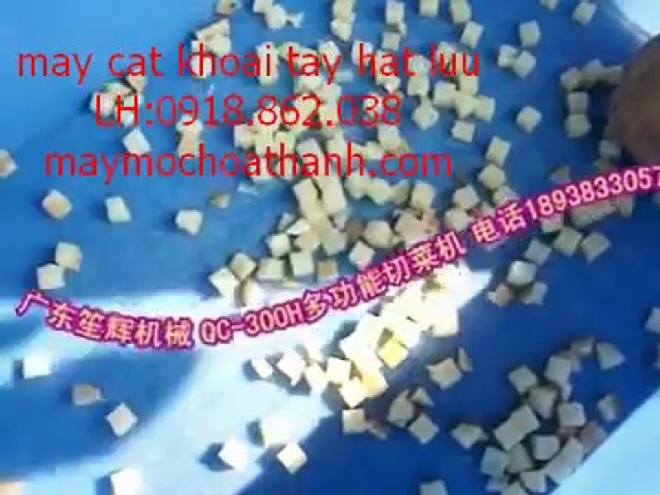 máy thái hạt lựu cà rốt, máy cắt hạt lựu củ dền, máy cắt hạt lựu khoai môn