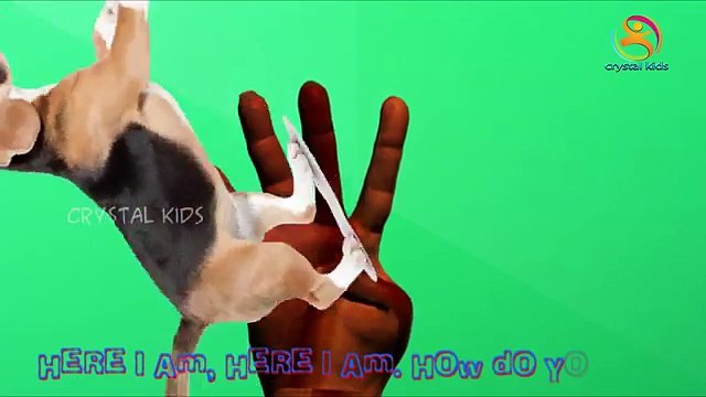 Los animales Dedo de la Familia | Familia Dedo canción | Niños Canciones | Animal Rimas infantiles para Childr