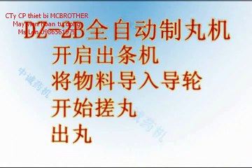 máy viên hoàn thuốc đông y tự động DZ2B, máy vo viên nghệ tự động DZ2B