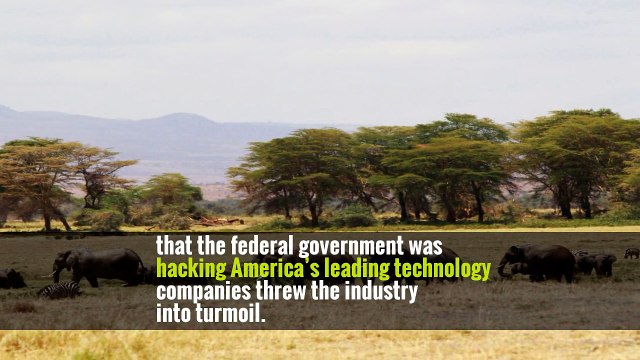 WikiLeaks Reignites Tensions Between Silicon Valley and Spy Agencies -