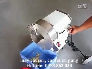 máy thái lát gừng tự động Lh098.656.1979