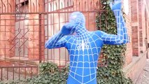 Frozen Elsa & Spiderman DANCE CHALLENGE! w/ Joker Anna Hulk Minions Spidergirl Fun In Real