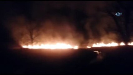 Sakarya'da 5 Hektarlık Sazlık Alan Yandı