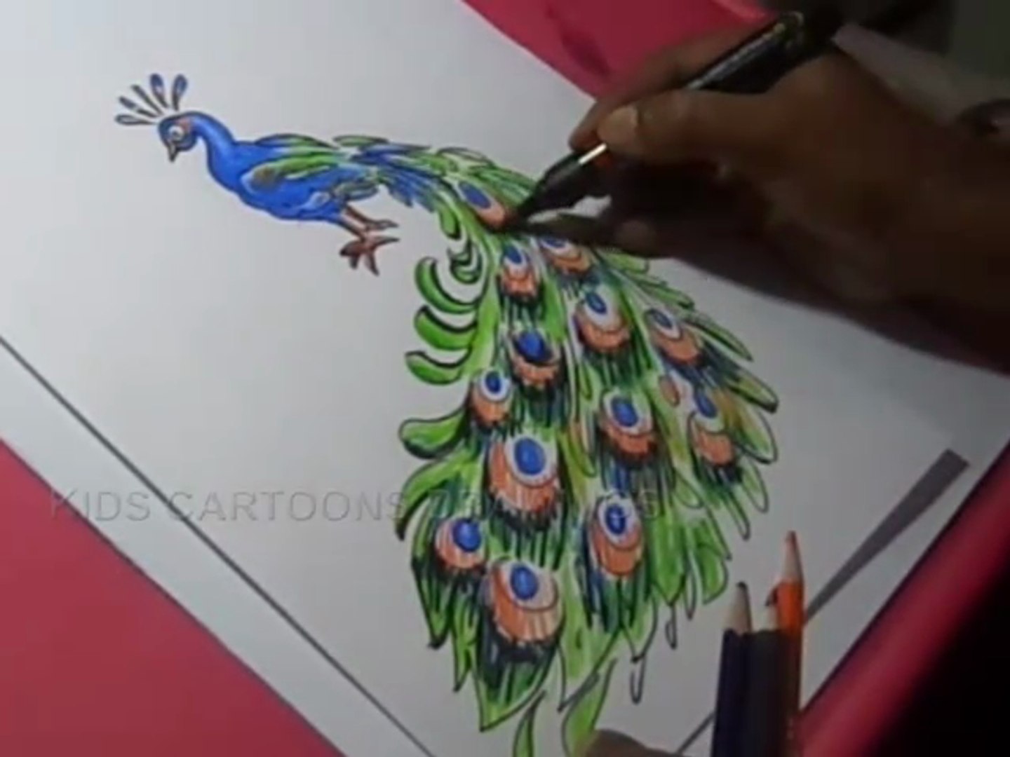 How to Draw Peacock Color Drawing for kids - video Dailymotion