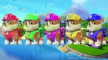Rubble Paw Patrol Jumping on the Bed - Five Little Paw Patrol Jumping on the Bed Nursery Rhymes