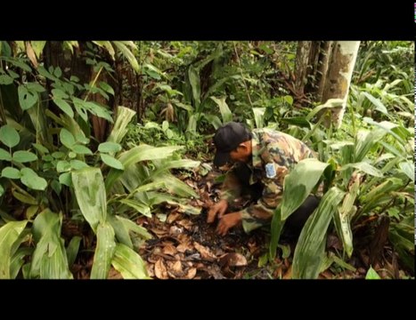 CultureSciences - A la rencontre des systèmes agricoles durables dans le monde