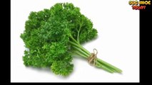 Destroys 86% of lung cancer cells with only raw vegetables