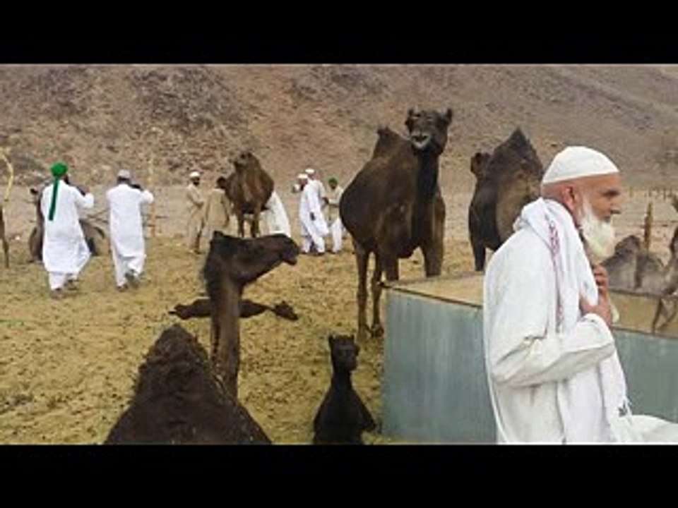 yad-e-Madinah Munawara