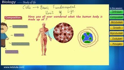 Introduction to Biology | What is Biology | Science | LetsTute