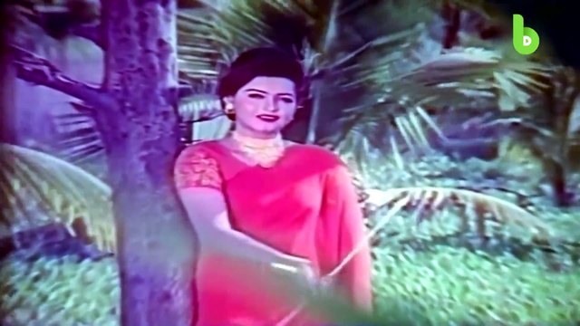 তুমি চাঁদের জোছনা নও হৃদয়ের আয়না __রিয়াজ, __আয়না