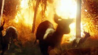 Kong: Skull Island - Rise of the King Official Final Trailer on