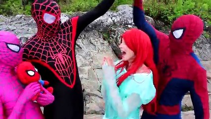 Spiderman & Frozen Elsa vs Fire! w/ Pink Spidergirl, Anna & Kristoff, Hulk, Joker & Snake