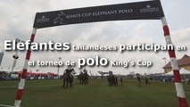 Elefantes tailandeses participan en el torneo de Polo King's Cup