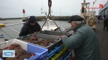 #moiélecteur : la politique vue par les pêcheurs du Guilvinec en Bretagne