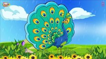 Its Raining Its Pouring | Nursery Rhyme for Children | 1 Hour  | KIDS HUT