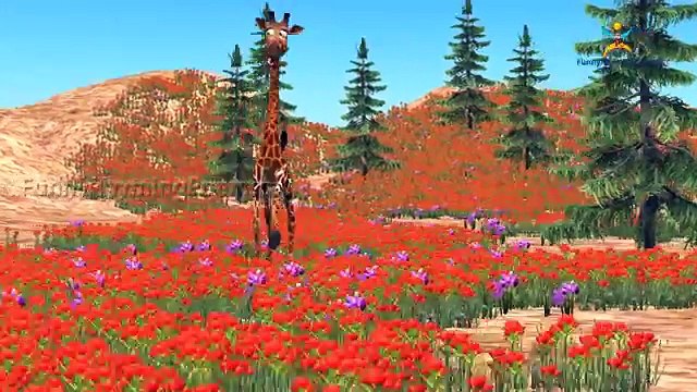 lion Giraffe bear Finger family 3d rhyme | Animated Nursery Children Finger Family song