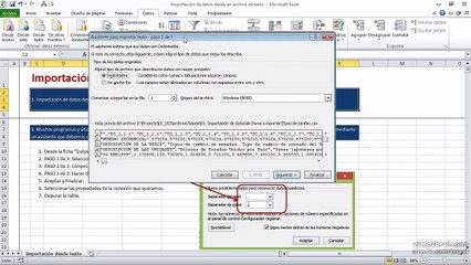 29 Importar datos de texto a Excel 0303