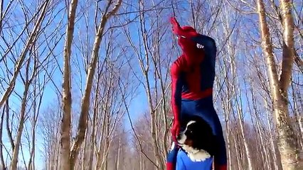 Spiderman & Frozen Elsa vs Maleficent, Joker! w/ Pink Spidergirl Hulk Supergirl Prank! Sup