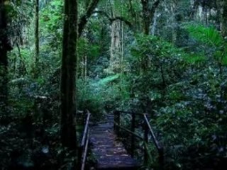 Montage grand camp 15