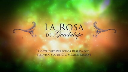 La sombra, una lección de respeto | Reflexión