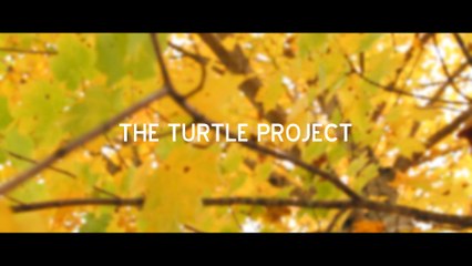 The Turtle Project - Aftermath (Official Lyric Video)