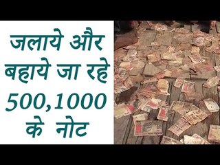 500, 1000 note floating in Ganga river in UP's Mirzapur  | वनइंडिया हिन्दी