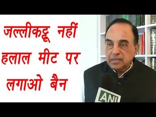 Jallikatu : Subramanian Swamy says Why not ban halal meat | वनइंडिया हिंदी