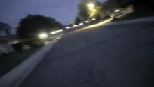 La patience d’un policier finit par payer face à deux chiens errants