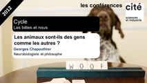 Les animaux sont-ils des gens comme les autres ?