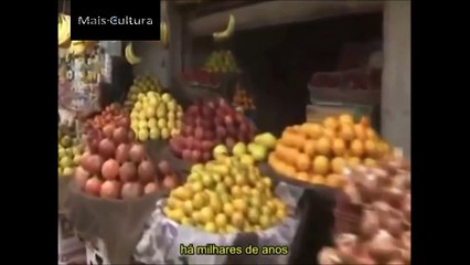 Civilizações da mesopotâmia - Os sumérios