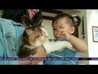 Memelihara Hewan Tingkatkan Kecerdasan Emosi Dan Daya Tahan Tubuh Anak - NET 12