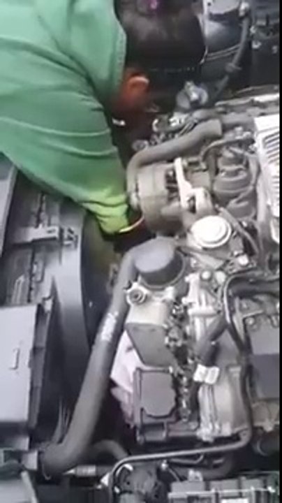 Cette marmotte est sauvée coincée dans un moteur de camion