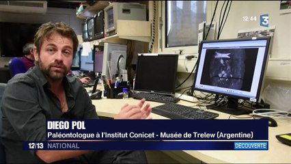 Sciences : pourquoi les dinosaures étaient-ils si grands ?