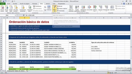 02 Ordenación básica de datos en Excel 0354