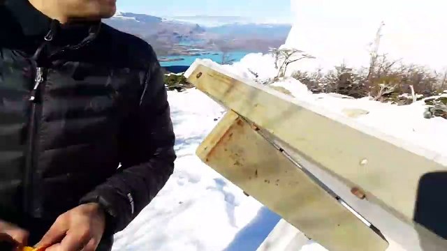 Ces deux amis continuent de filmer, alors qu'une avalanche se dirige tout droit sur eux