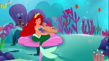 Finger Family Little Mermaid | Mermaid Finger Family Animal Nursery Rhymes Songs For Child