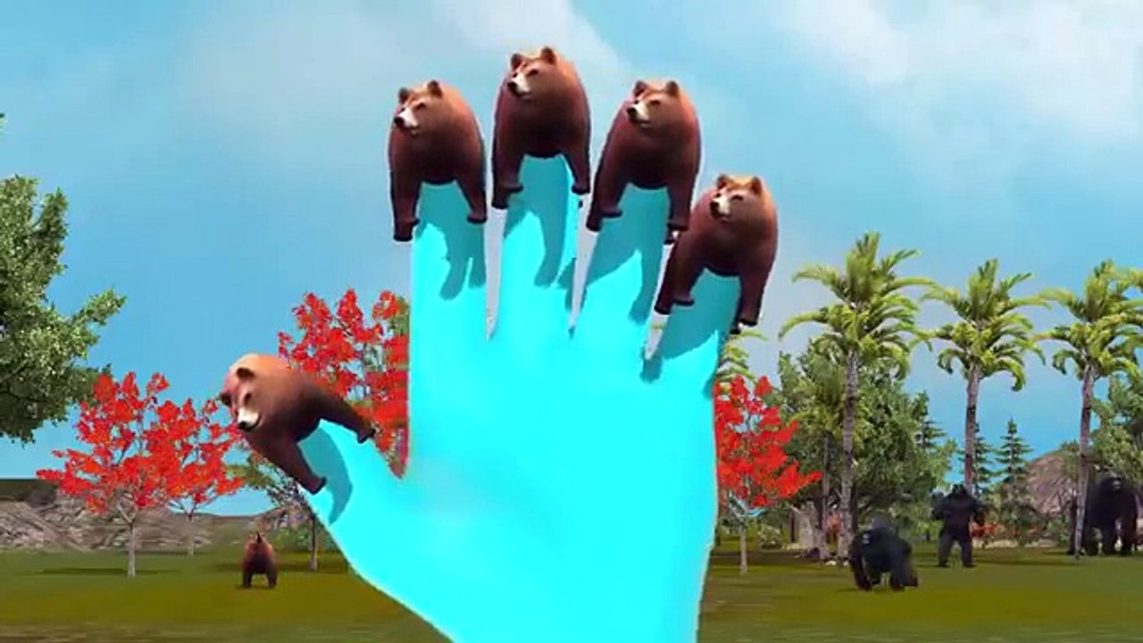 3D Animated Bear Finger Family Rhymes or Children | Top Animal Finger Family Rhymes