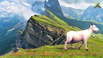Finger Family Cartoon Animation 3D Rhymes: Tiger Gummy Bear Cows & many more Animals