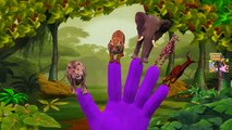 SuperHeroes Finger Family Rhymes | Animals Finger Family Songs | SPiderman Hulk Dinosaurs