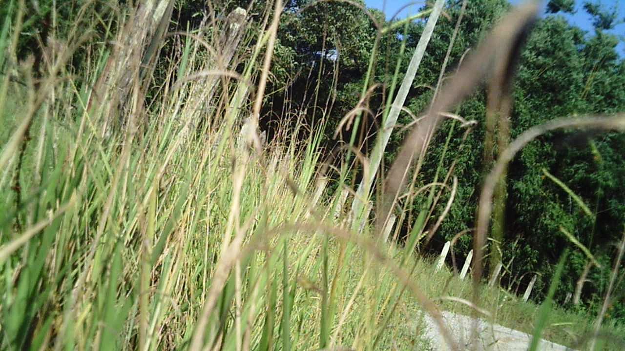 Porque pedalar, vamos pedalar, vamos viver, vamos trilhas, onde pedalamos, bikers, amigos, famíli nas trilhas, Tremembé, SP, Brasil, Marcelo Ambrogi