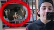 Top 5 Vloggers Who CAUGHT GHOSTS In Their Videos! HD