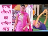 Sapna Chaudhary's new Nagin dance video goes viral, watch | वनइंडिया हिन्दी