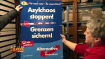 L'AfD, le parti anti-euro et anti-immigration qui monte en Allemagne