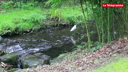 Brest. D’importants dégâts au conservatoire du Stangalard